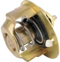 Termostat | 30A4600700 - sklep rolniczy FARMTOM